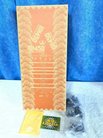 RAH450 가면라이더 아마존 리얼 액션 히어로즈 450 No.09