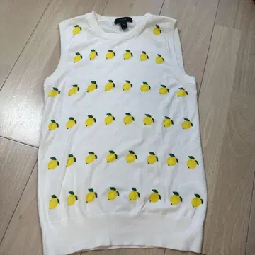 J.CREW 레몬 패턴 슬리브리스 니트