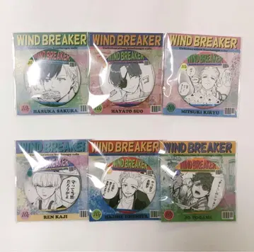 WIND BREAKER 윈브레 해외 코믹 모티브 캔뱃지