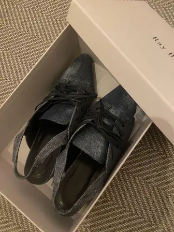 레이빔즈 약 24.5