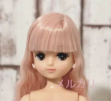 2019년 니혼바시 BASIC 모델 Ver.3 키라짱 리카짱 캐슬
