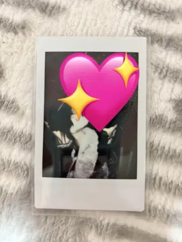 xp!a 아마토 폴라로이드