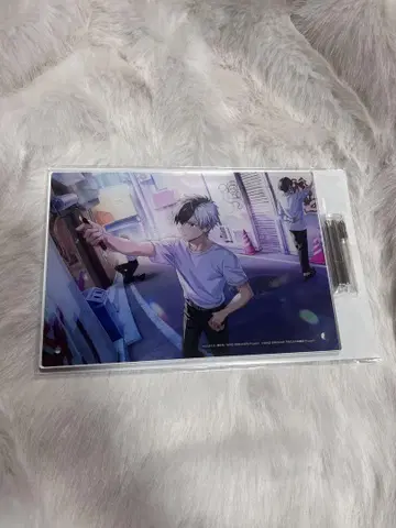 윈브레 윈히로 아크릴 플레이트 사쿠라바
