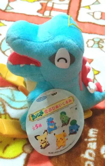 포켓몬스터 와니노코 눈 놀이 봉제 인형 포켓몬
