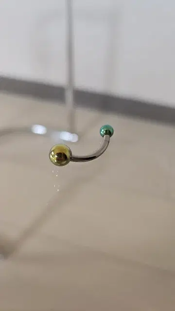 ANATOMETAL 아나토메탈 커브드 바벨 바나나 바벨 10G