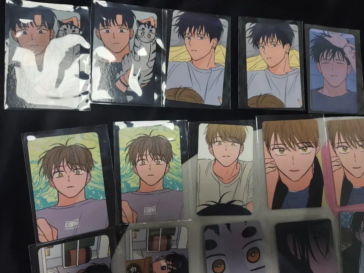 How to Train a Tiger License Clear File photocard