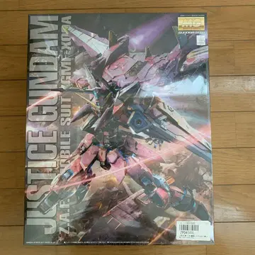 JUSTICE GUNDAM 1/100 ZGMF-X09A