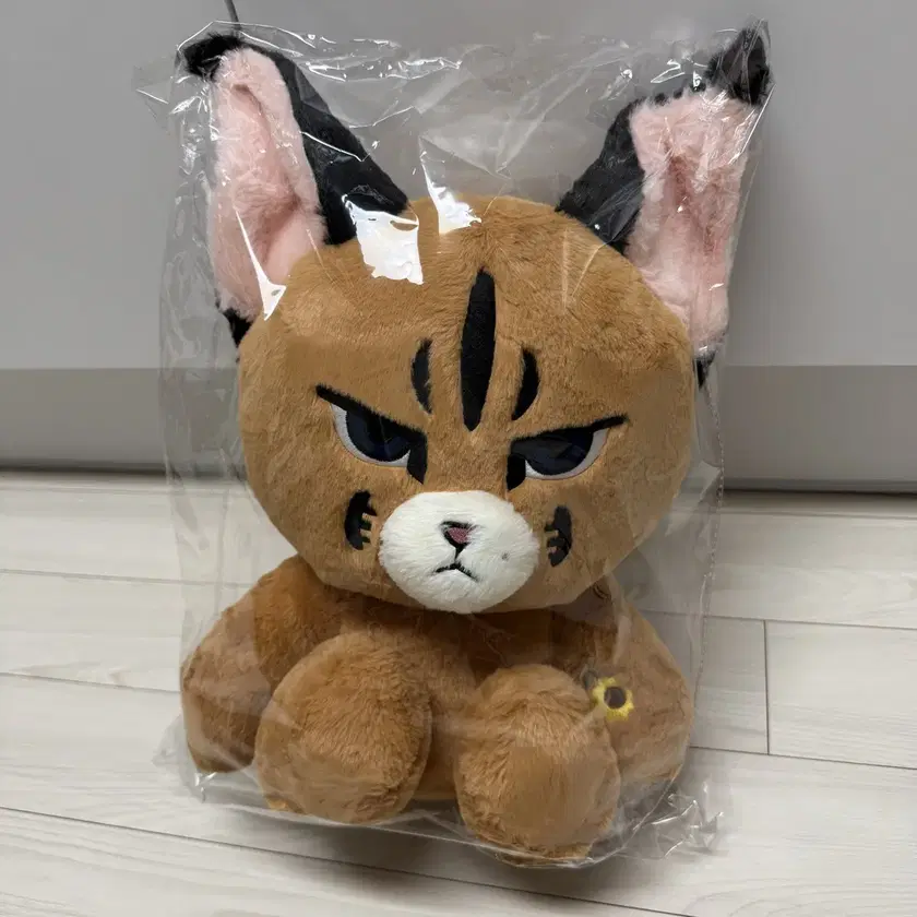 NCT127 マスター ジャニ ぬいぐるみ 쟈니 Johnny カラジャン NCT127 マスター ジャニ ぬいぐるみ 쟈니 Johnny カラジャン