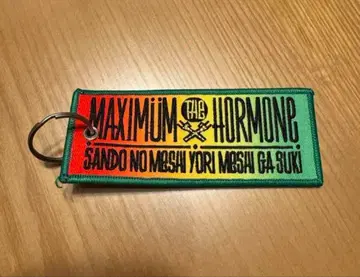 맥시멈 더 호르몬 플라이트 택 키링