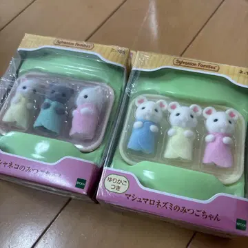 페르시아 고양이 미쓰고 마쉬멜로우 쥐 미쓰고 실바니아