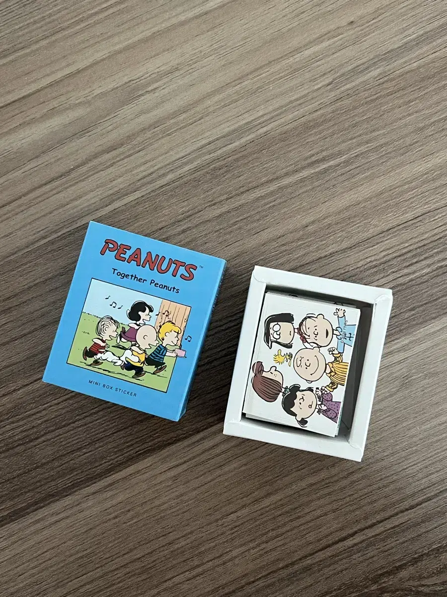 피넛츠 스누피 미니 박스 스티커 세트 판매합니다!