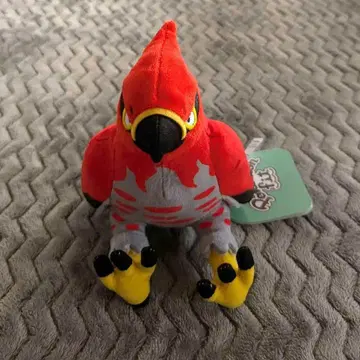 봉제 인형 파이어 애로우 Pokemon fit 포켓몬 센터 포켓몬
