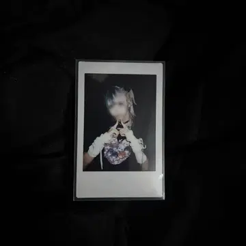 라부시쿠 하야테 폴라로이드