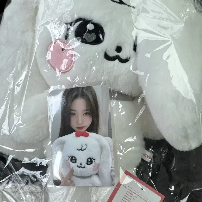 IVE | 아이브 Ive minive Cherry Fluffy Plush 30cm including