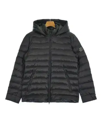 DRESSTERIOR 다운 자켓/다운 베스트 남성용