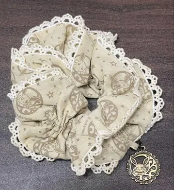 포켓몬 센터 La maison de Eievui 이브이 스크런치