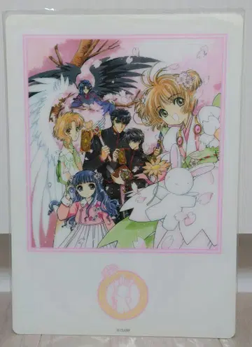 카드캡터 사쿠라 wish X CLAMP 책받침