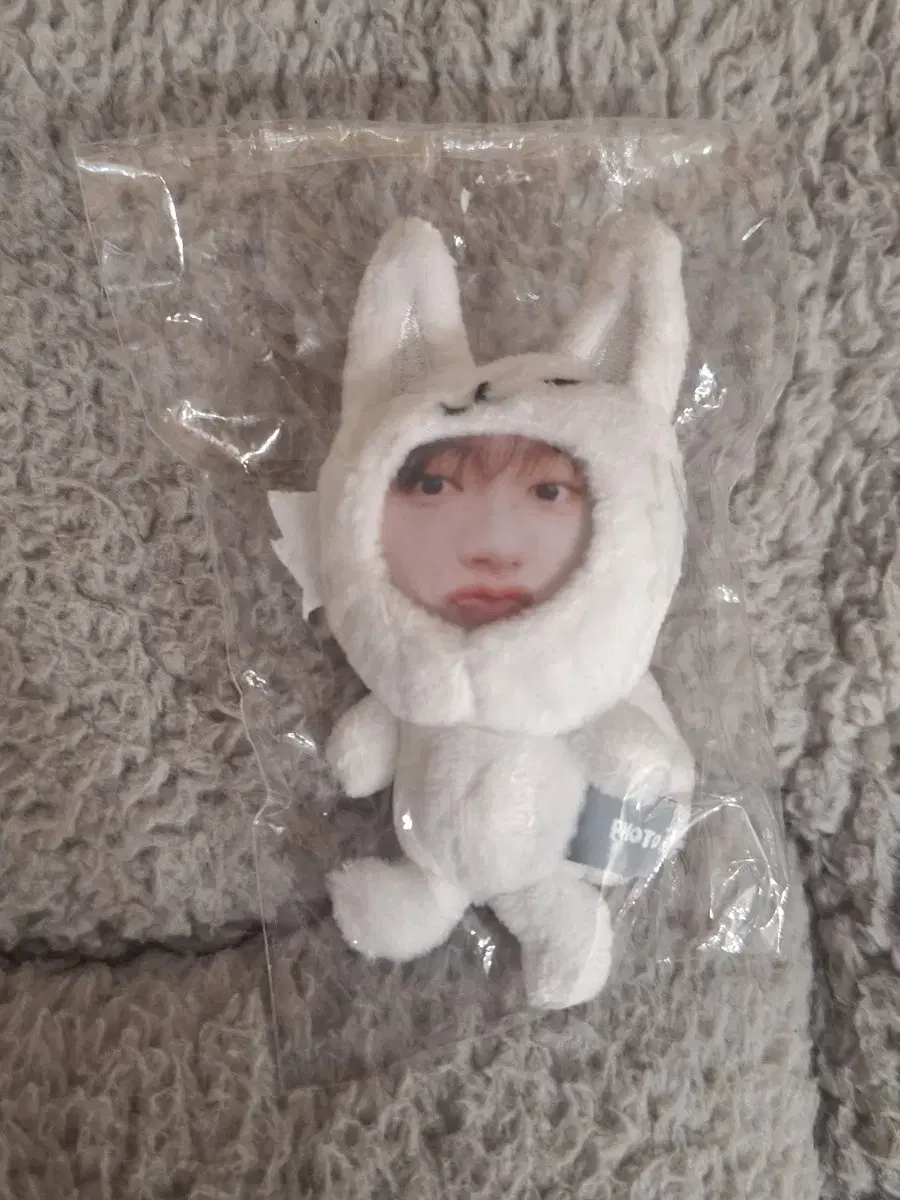 (Unstanning disposal) vanner jun yeonggwang white fox phototok
