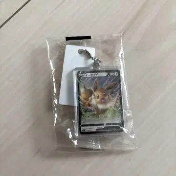 포켓몬 쿠라스시 이브이 포켓몬 카드 키링