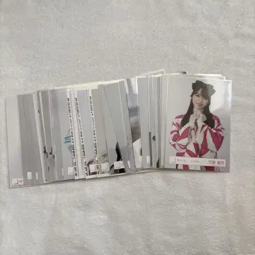 모리야 레이나 31장 묶음 판매