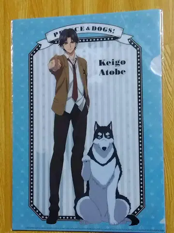 신 테니스의 왕자님 클리어 파일 3매 세트 PRINCE & DOGS !