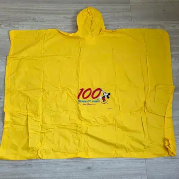 귀중품 플로리다 디즈니 레인코트 100years of magic