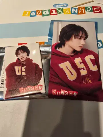 보넥도 카페 송호