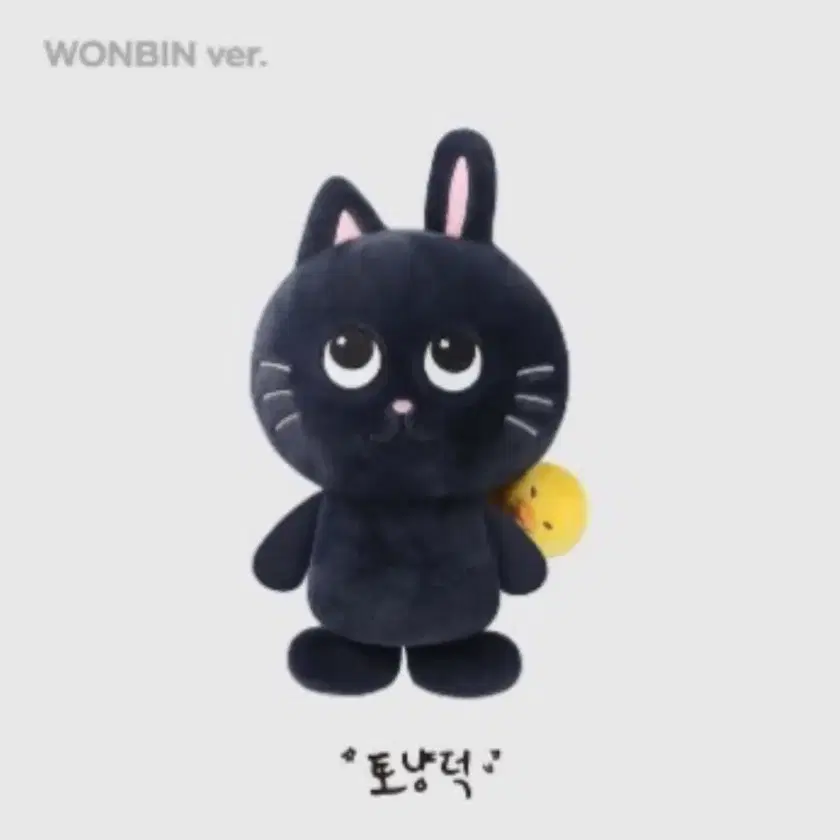 RIIZE(ライズ) タンニングストーン トンヤンドク 未開封 ミニドール