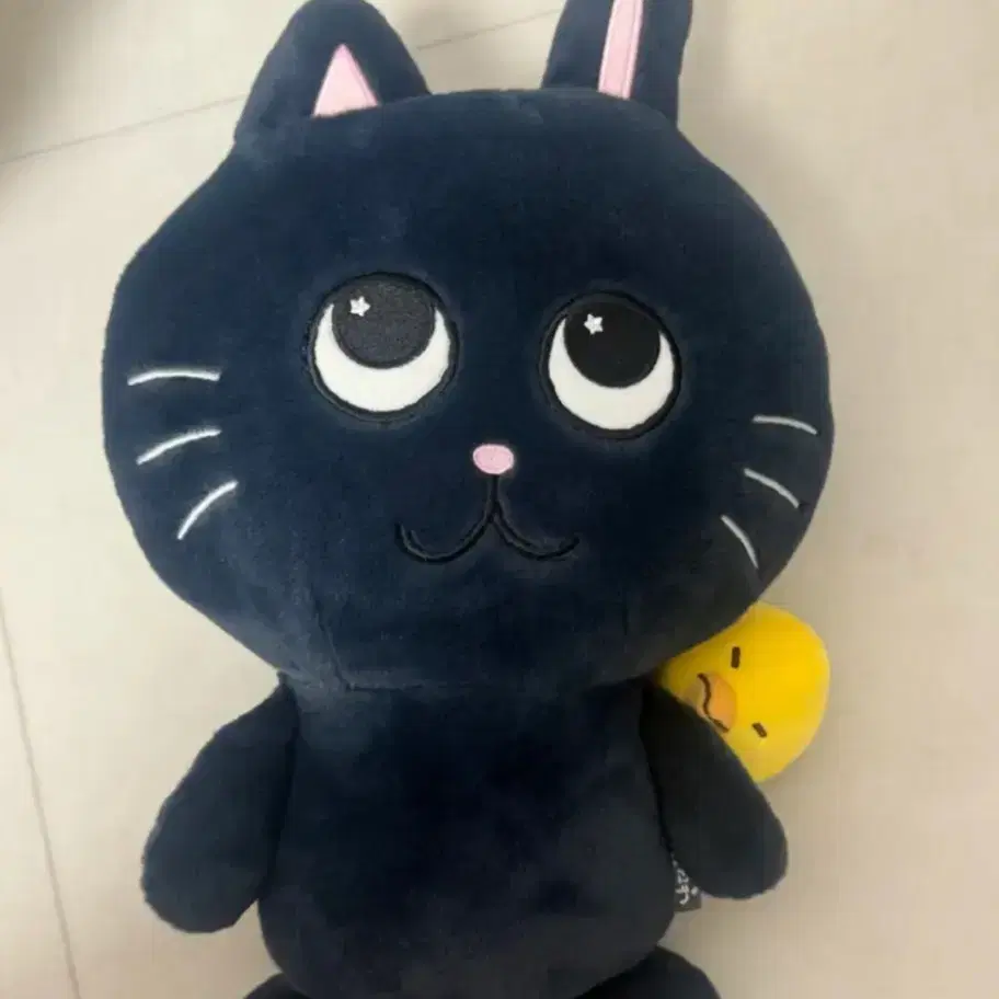 RIIZE 40cm ドール ウォンビン RIIZE | 라이즈 Below Cost)) Riize Wonbin 40cm Giant