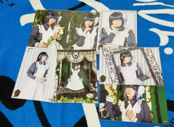 아오키 시키 Stray Sheep Paradise: em 브로마이드