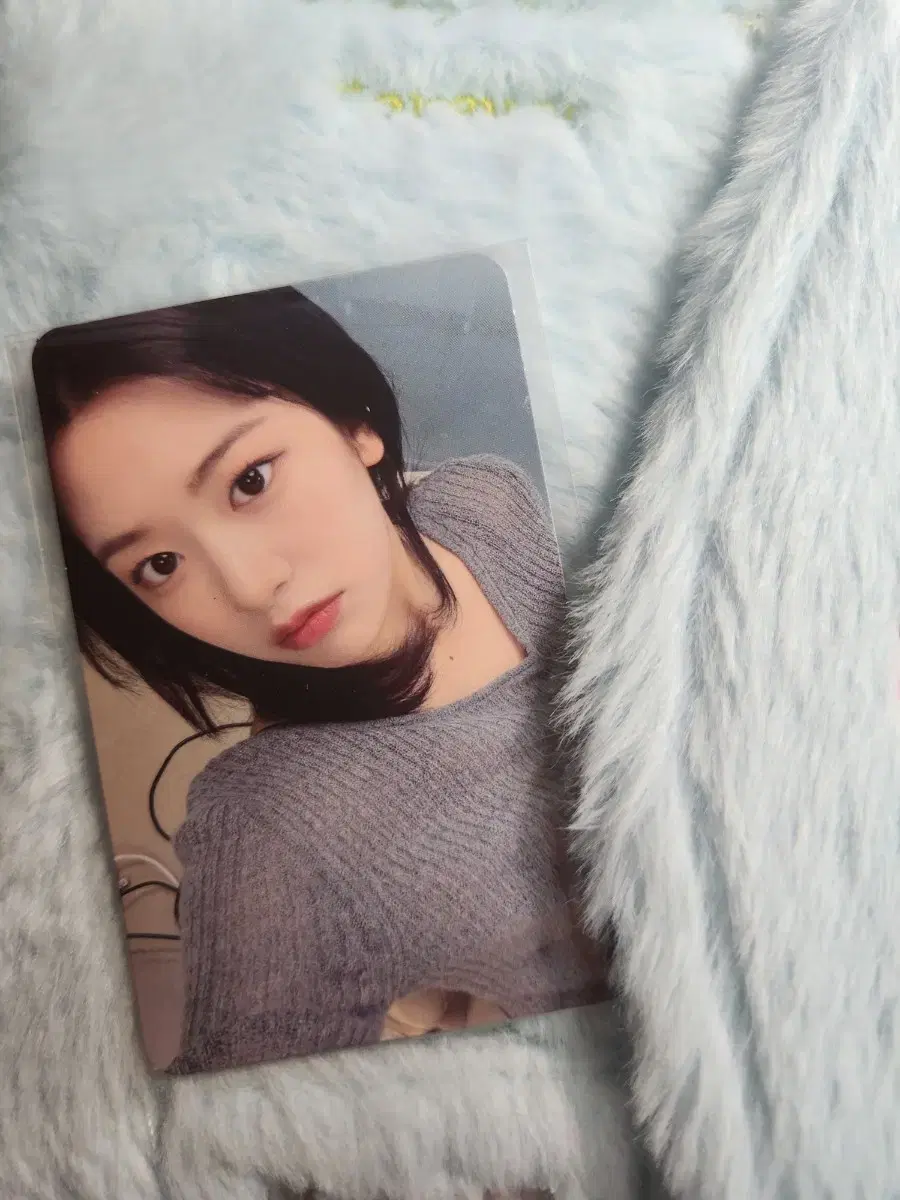 아이브 미니브 스쿨 팝업 유진 특전