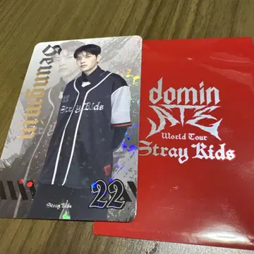 Stray Kids 랜덤 포토 카드 22 키라