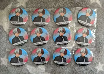 히로아카 토도로키 쇼토 캔뱃지