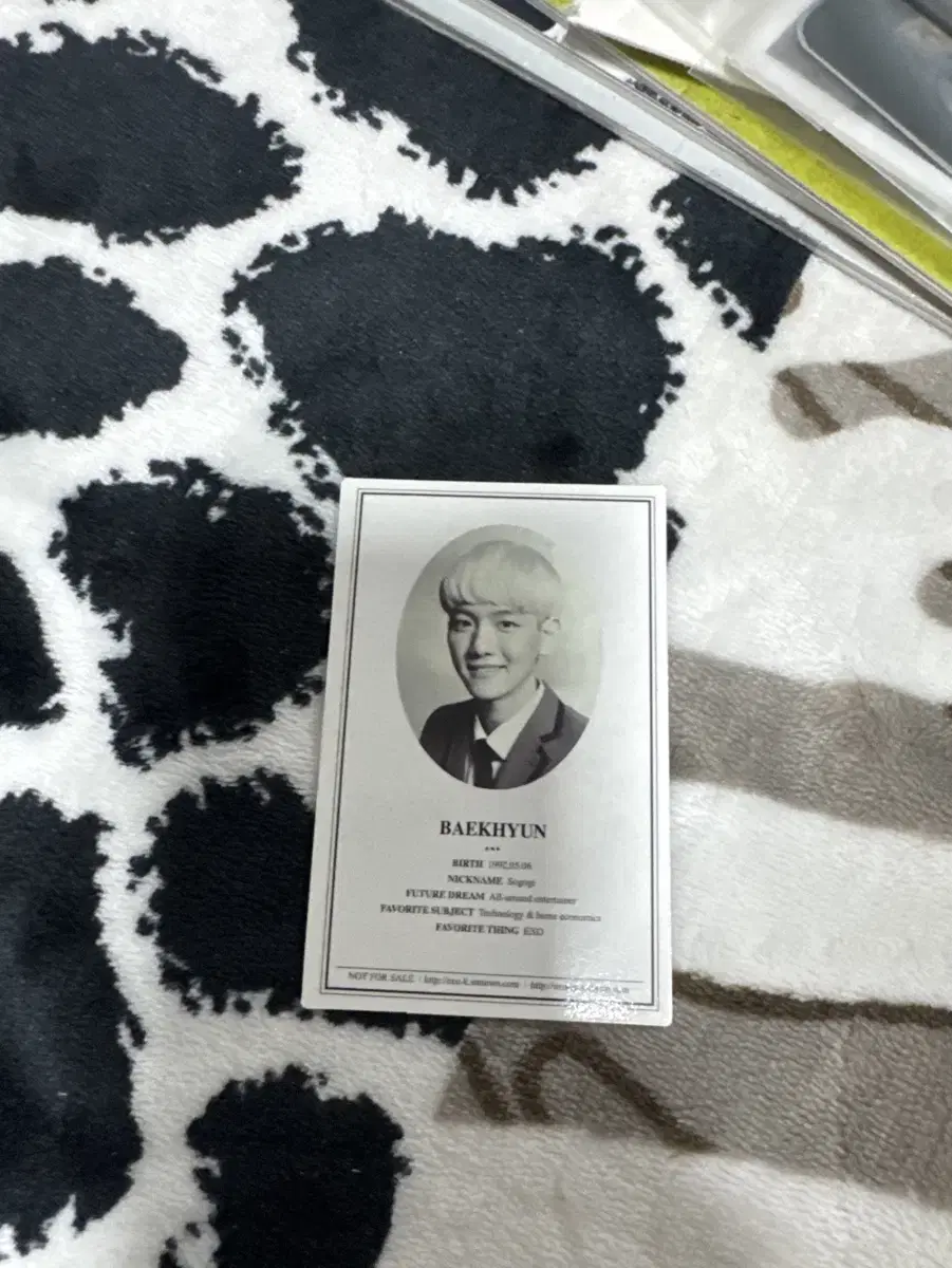 Exo Baekhyun Wolf and Beauty poca photocard