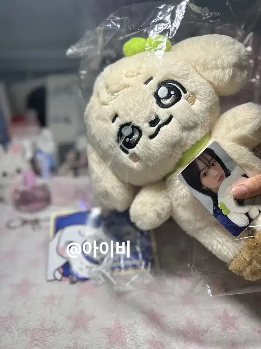 아이브 스쿨 팝업 30cm 강안지 인형 + 포카