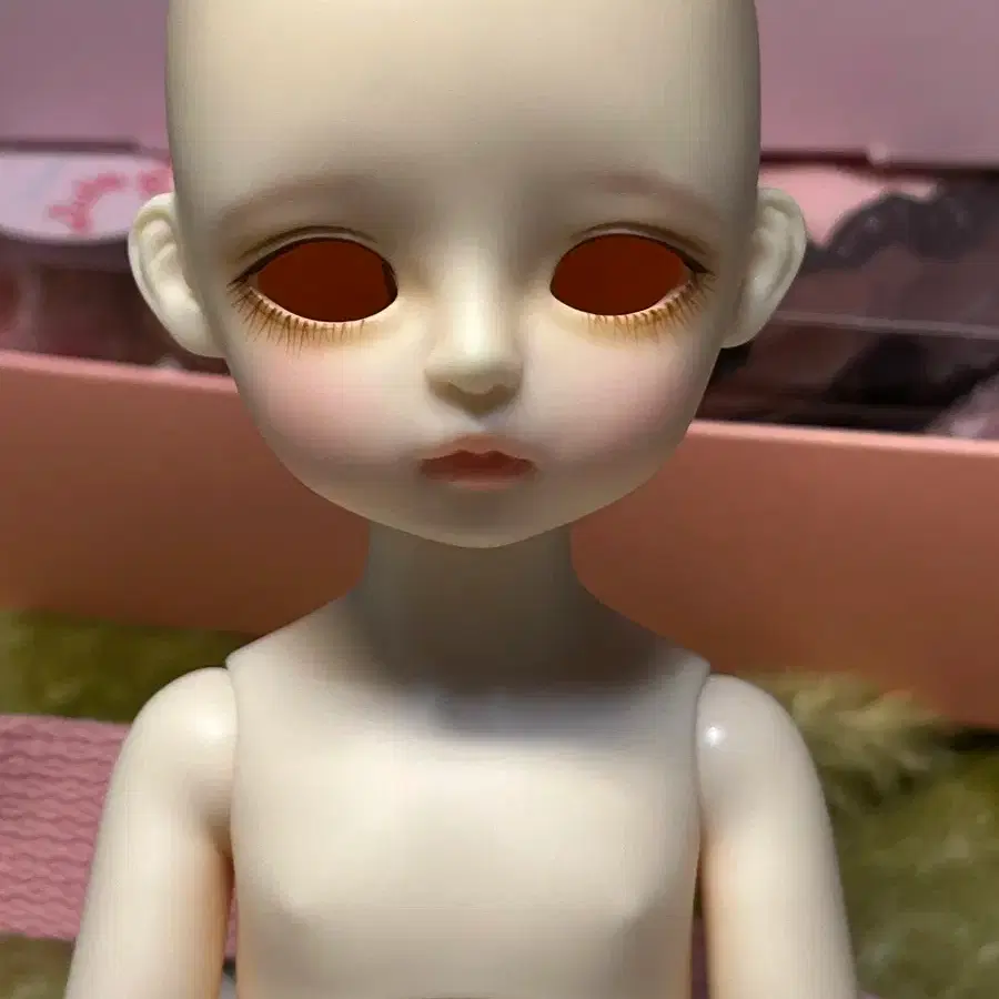 Price Reduced) Lina Chouchou Basic Cookie (Pre-renewal ver) #리나