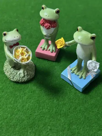 코포 개구리 꽃 시리즈 3종류