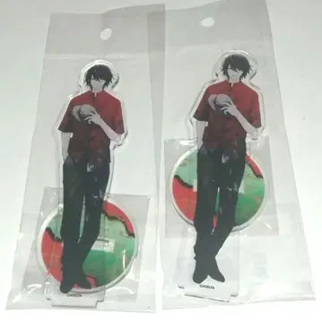 대오 아크릴 스탠드 스텔라 워스 다이바 시즈마