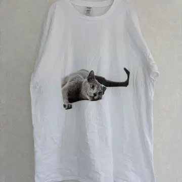 GILDAN 고양이 프린트 티셔츠 3XL