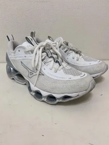 미즈노 웨이브 프로페시 13 화이트 26.0cm