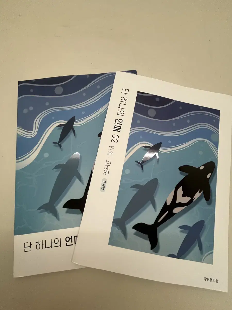 강은양 2026 언매 특강 교재 단 하나의 언매