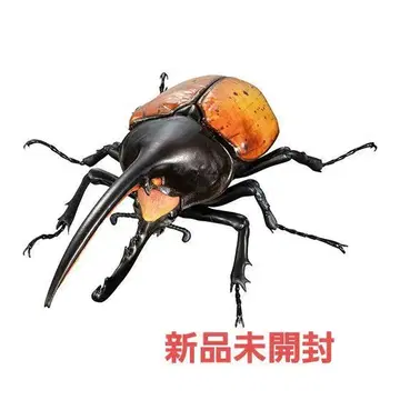 헤라클레스 에쿠아토리아누스 생물대도감 어드밴스 미개봉 새상품