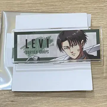 진격의 거인 타워 레코드 전투 이후 명찰 리바이