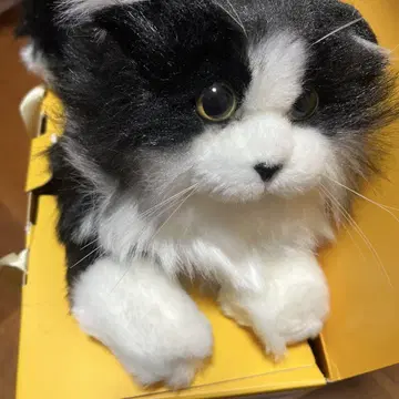 블랙 화이트 고양이 봉제 인형 리얼 냥코 가격 인하