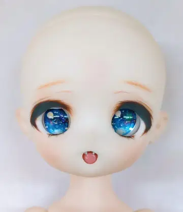 Tiny Fox 01S 헤드 커스텀 헤드
