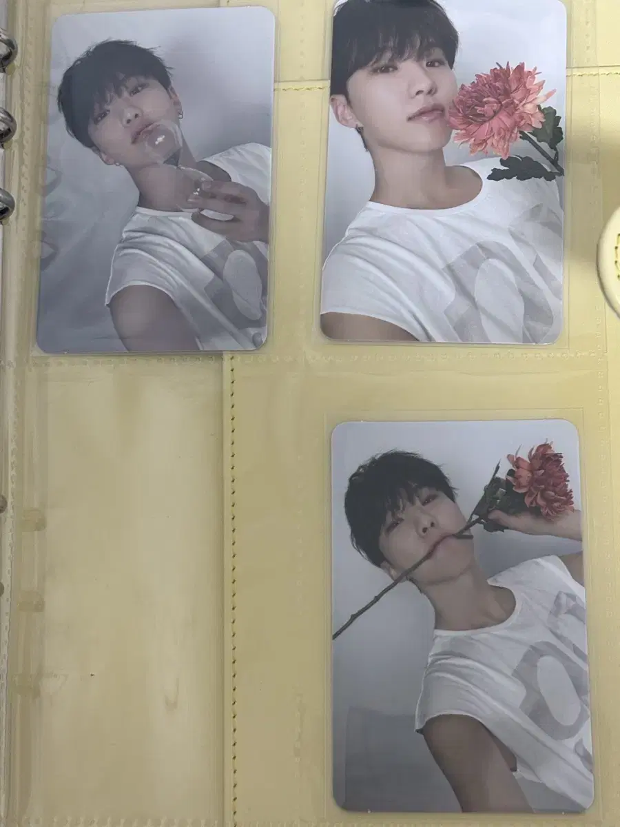 세븐틴 베스트앨범 라잇히어 호시 캐럿반 판매합니다!