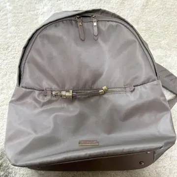 Samsonite 심플 그레이 백팩
