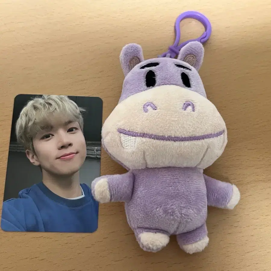 アイドル N.Flying HAMANG Doll (28cm) Shop 엔플라잉인형 on Bunjang Global Site - No more Korean