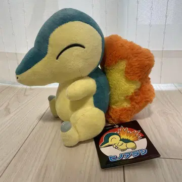 히노아라시 봉제 인형 포켓몬 센터 한정판