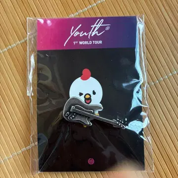 DAY6 JAE 기타 고유명사 배지